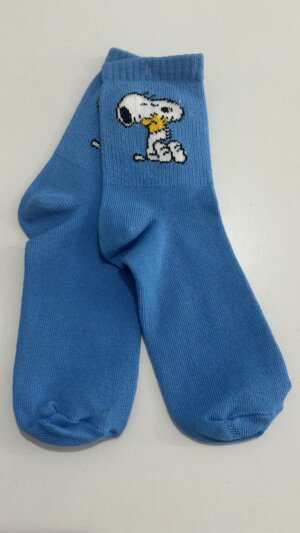 Snoopy celeste