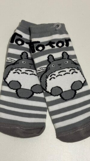 Totoro rayado