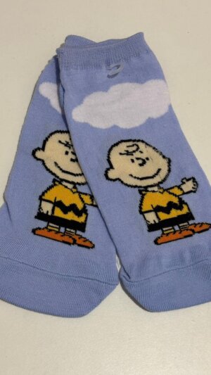 Snoopy Charlie Brown