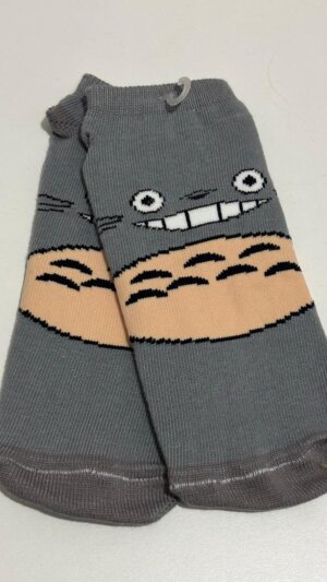 Totoro gris