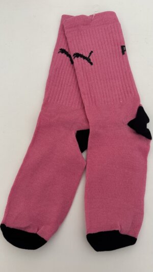 Puma rosas