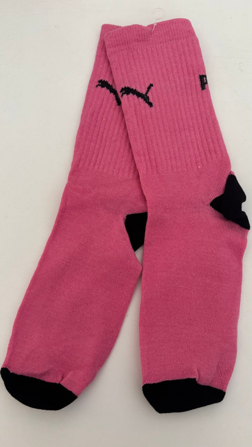 Puma rosas